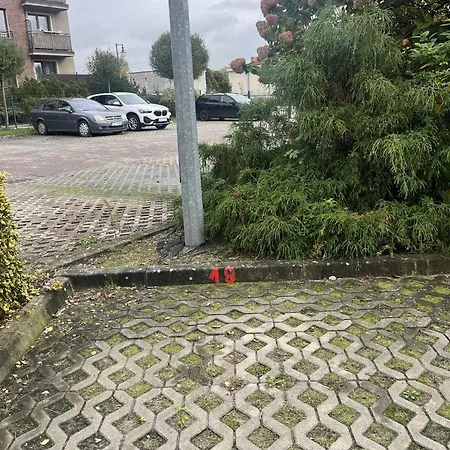 Sara Z Balkonem Oleśnica