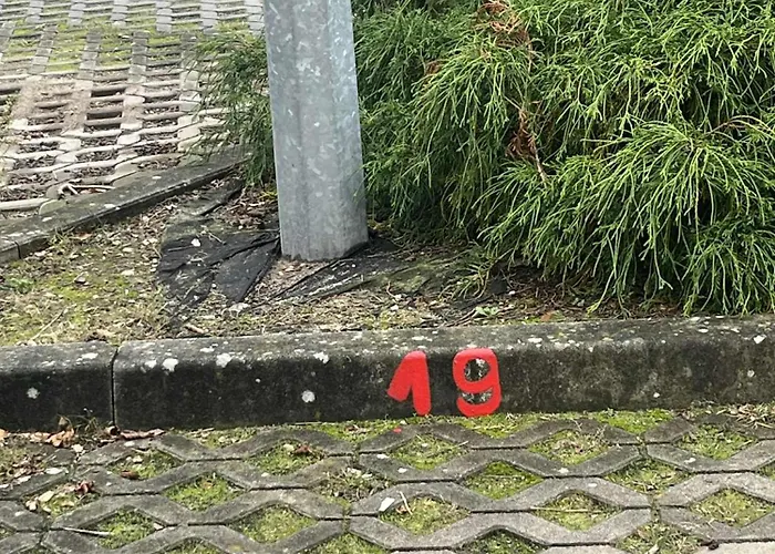 Sara Z Balkonem 아파트